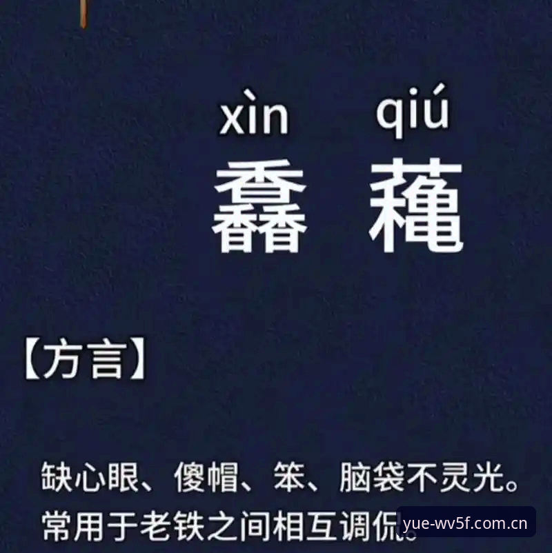 乐鱼官网2025最新版下载哪个好 乐鱼官网2025最新版下载哪个好?实测对比告诉你答案